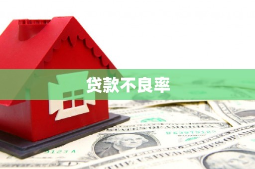 田阳贷款不良率