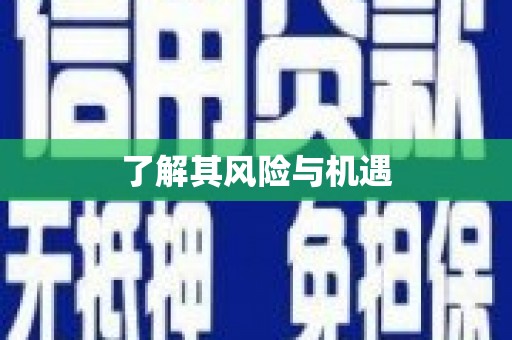 田阳了解其风险与机遇