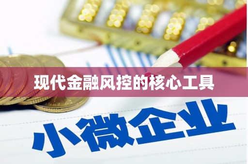 田阳现代金融风控的核心工具
