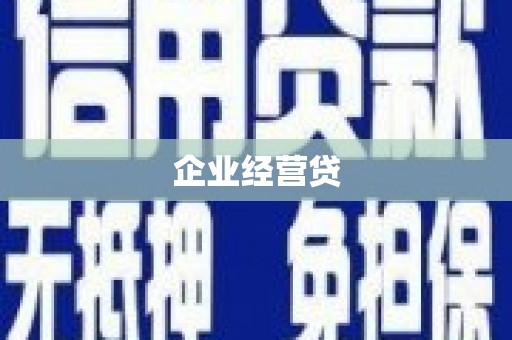 田阳企业经营贷