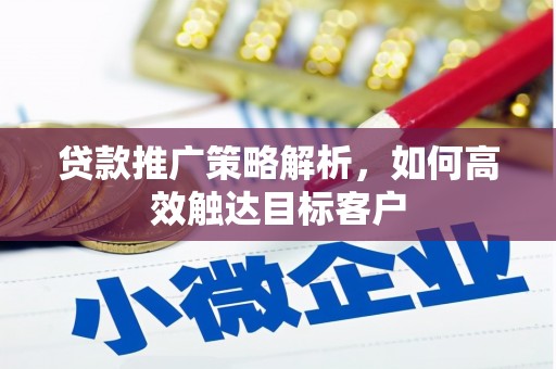田阳贷款推广策略解析，如何高效触达目标客户
