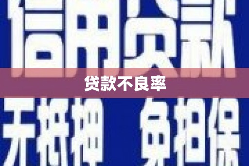 田阳贷款不良率