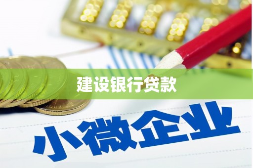 田阳建设银行贷款