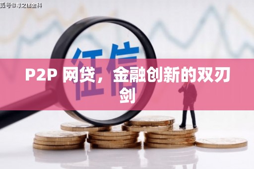 田阳P2P 网贷，金融创新的双刃剑
