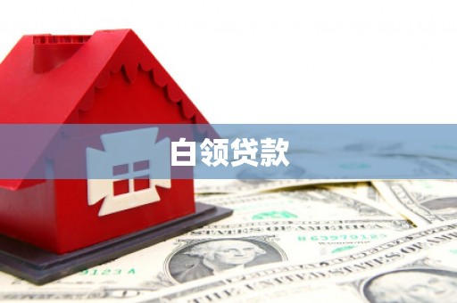 田阳白领贷款