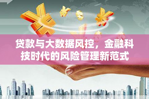田阳贷款与大数据风控，金融科技时代的风险管理新范式