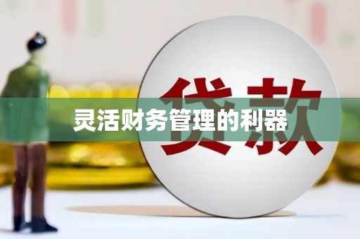 田阳灵活财务管理的利器