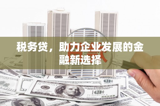 田阳税务贷，助力企业发展的金融新选择
