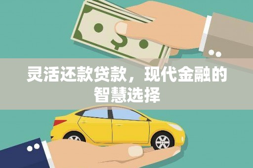 田阳灵活还款贷款，现代金融的智慧选择