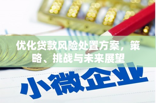 田阳优化贷款风险处置方案，策略、挑战与未来展望
