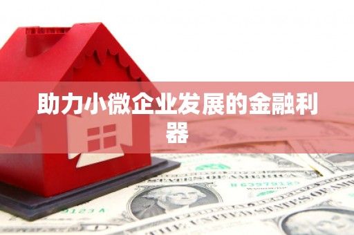 田阳助力小微企业发展的金融利器
