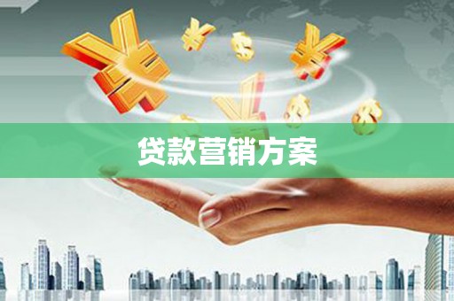 田阳贷款营销方案