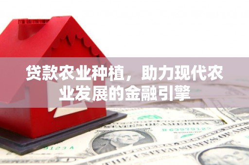 田阳贷款农业种植，助力现代农业发展的金融引擎