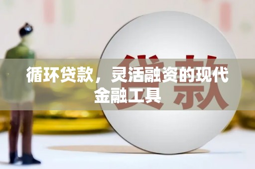 田阳循环贷款，灵活融资的现代金融工具