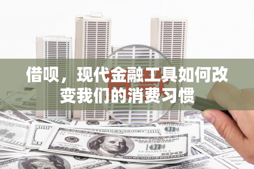 田阳借呗，现代金融工具如何改变我们的消费习惯