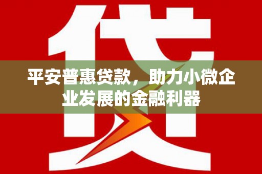 田阳平安普惠贷款，助力小微企业发展的金融利器