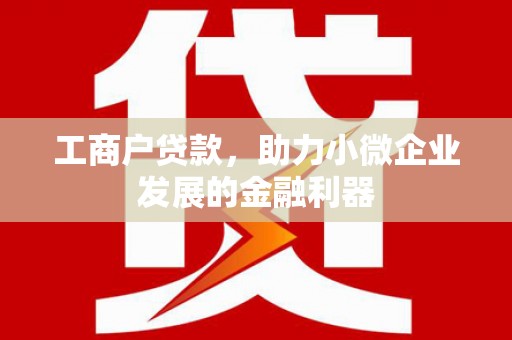 田阳工商户贷款，助力小微企业发展的金融利器