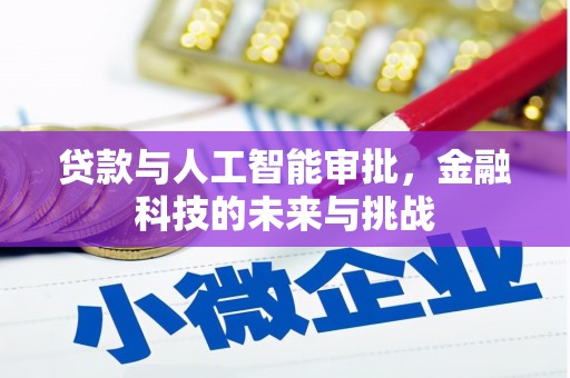 田阳贷款与人工智能审批，金融科技的未来与挑战