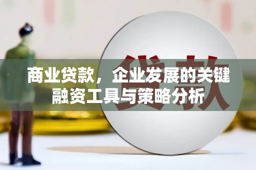 田阳商业贷款，企业发展的关键融资工具与策略分析
