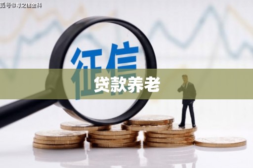 田阳贷款养老