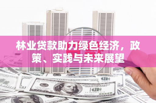 田阳林业贷款助力绿色经济，政策、实践与未来展望