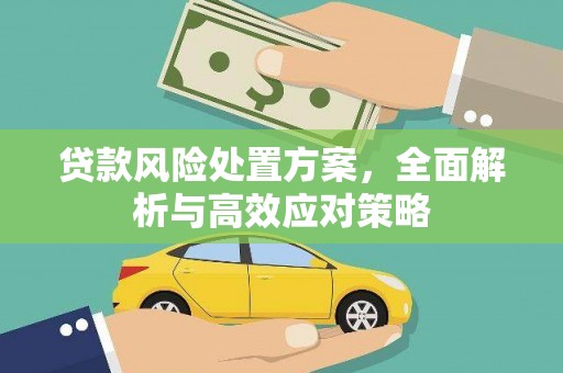 田阳贷款风险处置方案，全面解析与高效应对策略
