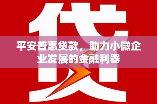 田阳平安普惠贷款，助力小微企业发展的金融利器
