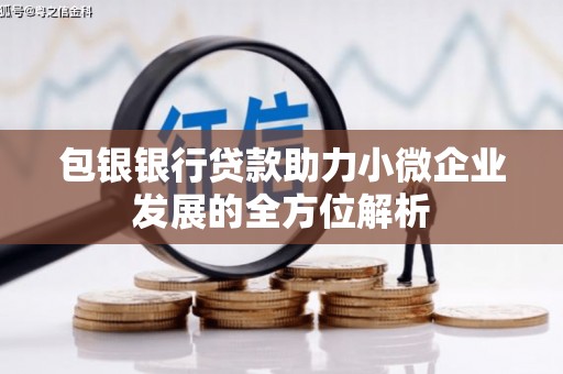 田阳包银银行贷款助力小微企业发展的全方位解析