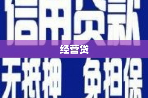 田阳经营贷