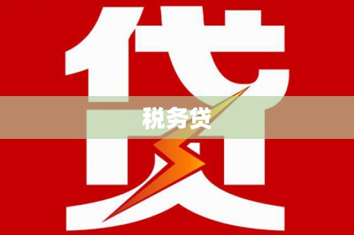 田阳税务贷