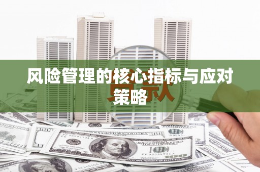 田阳风险管理的核心指标与应对策略