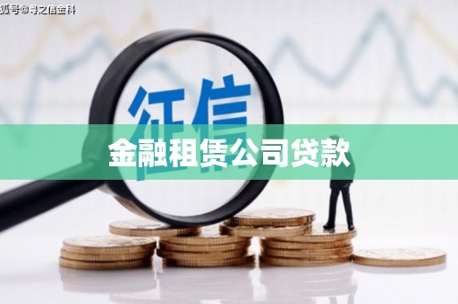 田阳金融租赁公司贷款