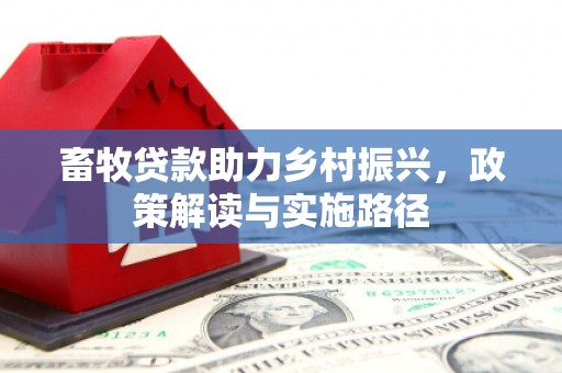 田阳畜牧贷款助力乡村振兴，政策解读与实施路径