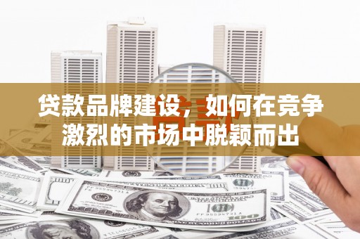 田阳贷款品牌建设，如何在竞争激烈的市场中脱颖而出