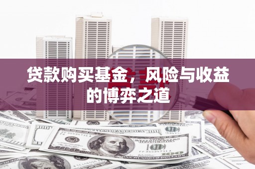 田阳贷款购买基金，风险与收益的博弈之道