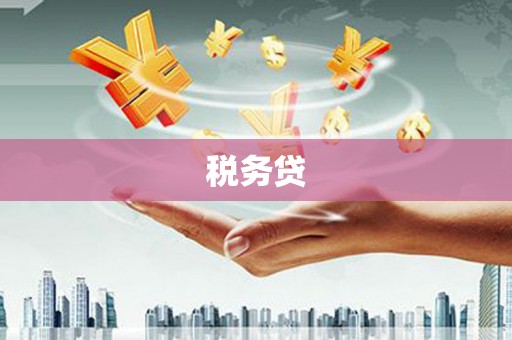 田阳税务贷