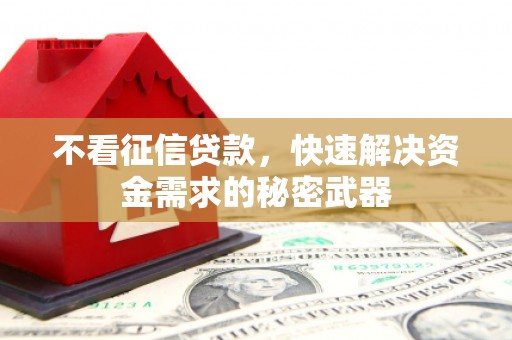 田阳不看征信贷款，快速解决资金需求的秘密武器