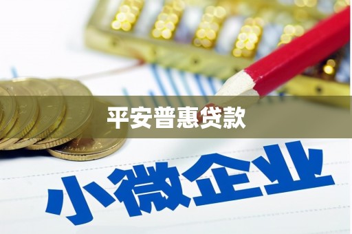 田阳平安普惠贷款