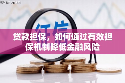 田阳贷款担保，如何通过有效担保机制降低金融风险