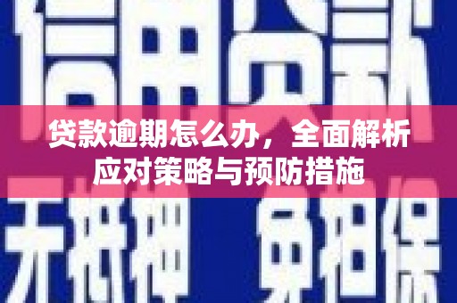 田阳贷款逾期怎么办，全面解析应对策略与预防措施