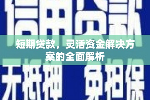 田阳短期贷款，灵活资金解决方案的全面解析