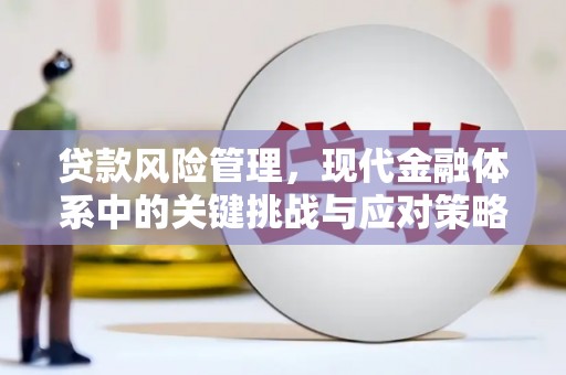 田阳贷款风险管理，现代金融体系中的关键挑战与应对策略