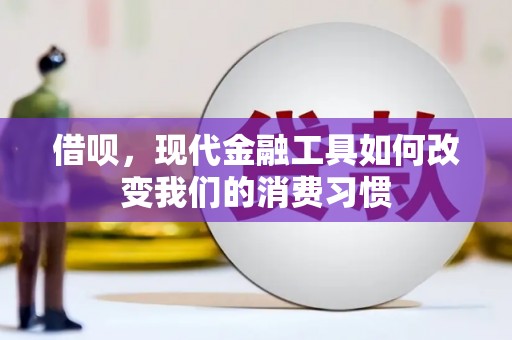 田阳借呗，现代金融工具如何改变我们的消费习惯