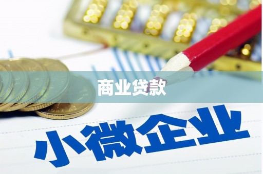 田阳商业贷款