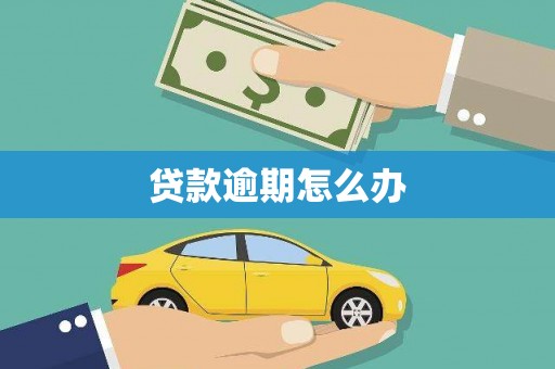 田阳贷款逾期怎么办