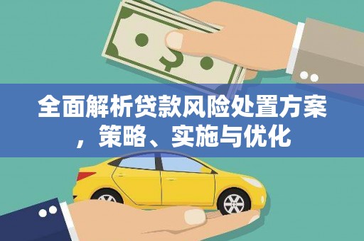 田阳全面解析贷款风险处置方案，策略、实施与优化