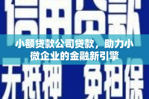 田阳小额贷款公司贷款，助力小微企业的金融新引擎