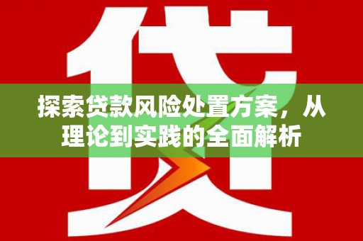 田阳探索贷款风险处置方案，从理论到实践的全面解析