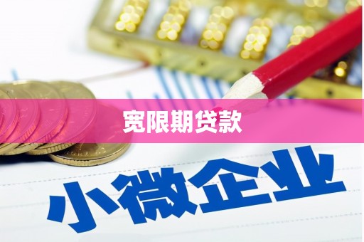 田阳宽限期贷款