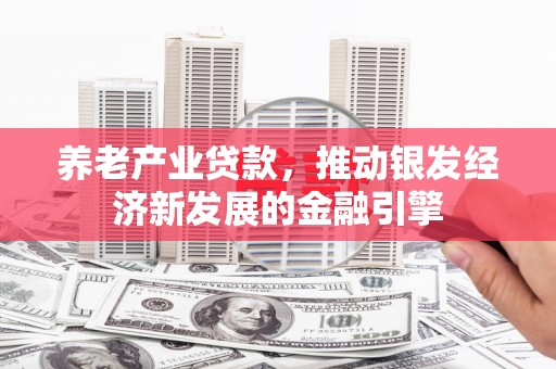 田阳养老产业贷款，推动银发经济新发展的金融引擎